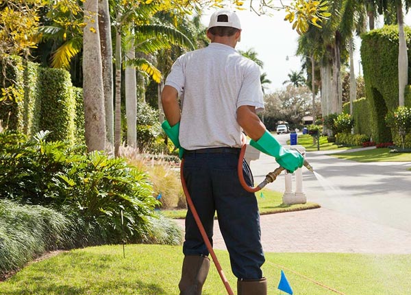 About Kellyville OK Pest Control